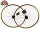 ALTA BMX 29 x 1.75 GOLD FRONT OR FREEWHEEL FLIP FLOP Hub Sealed Bearing RIMS