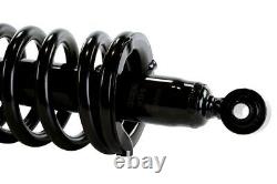 Rear Complete Strut & Coil Spring Assembly Pair 2 for 2001-2005 Honda Civic 2.0L